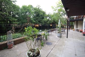 Photo 2- click for photo gallery